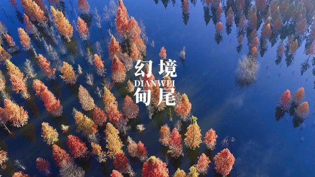 救援可爱小松鼠