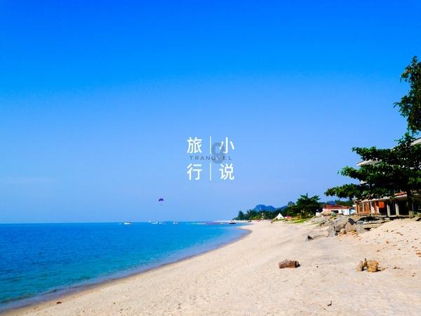 党建引领齐发力，携手同心添新绿！坦洲镇开展乡村绿化植树活动