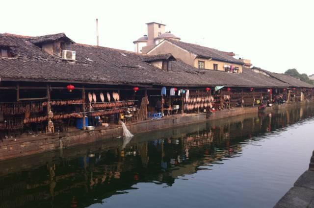 逃离橙园